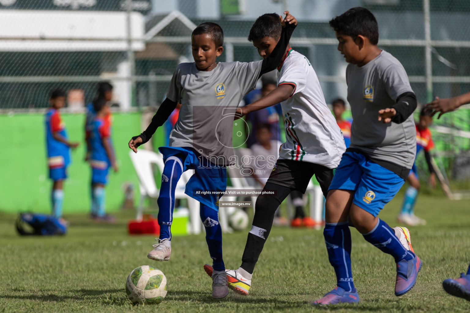 Day 1 of MILO Academy Championship 2023 (U12) was held in Henveiru Football Grounds, Male', Maldives, on Friday, 18th August 2023. Photos: Mohamed Mahfooz Moosa / images.mv