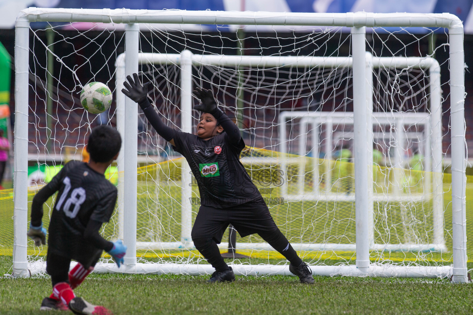 Day 2 of MILO Kids Football Fiesta was held at National Stadium in Male', Maldives on Saturday, 24th February 2024.