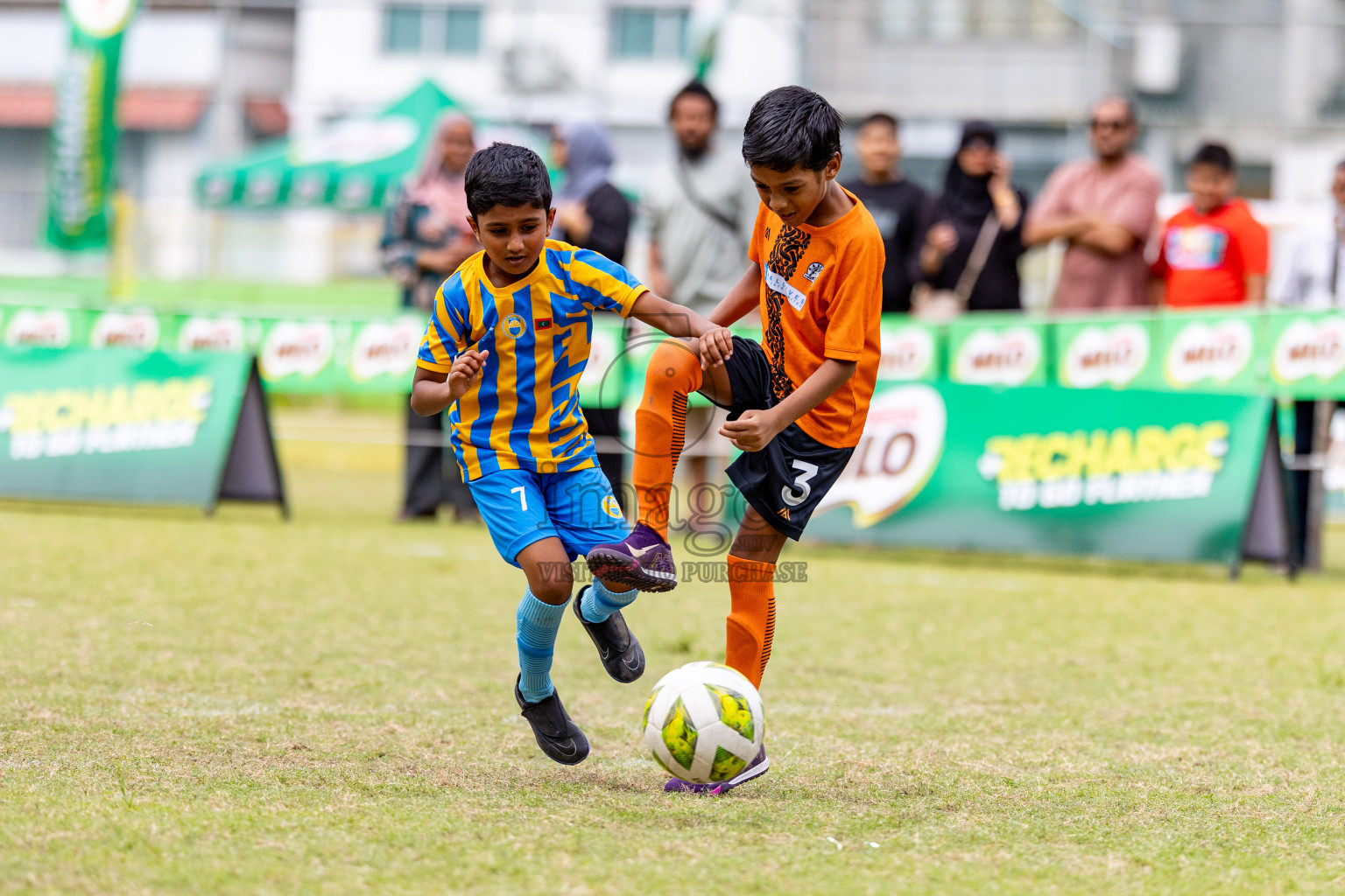 Day 1 of MILO SVAM Juniors 2025 (U-8) was held at Henveiru Stadium in Male', Maldives on Thursday, 26th June 2025. 
Photos: Hassan Simah / images.mv