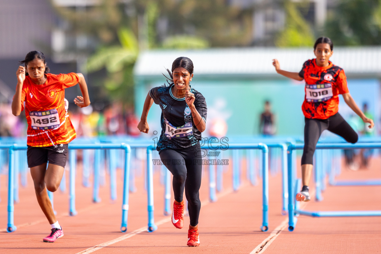 Day 5 of MWSC Interschool Athletics Championships 2024 held in Hulhumale Running Track, Hulhumale, Maldives on Wednesday, 13th November 2024. Photos by: Raif Yoosuf / Images.mv