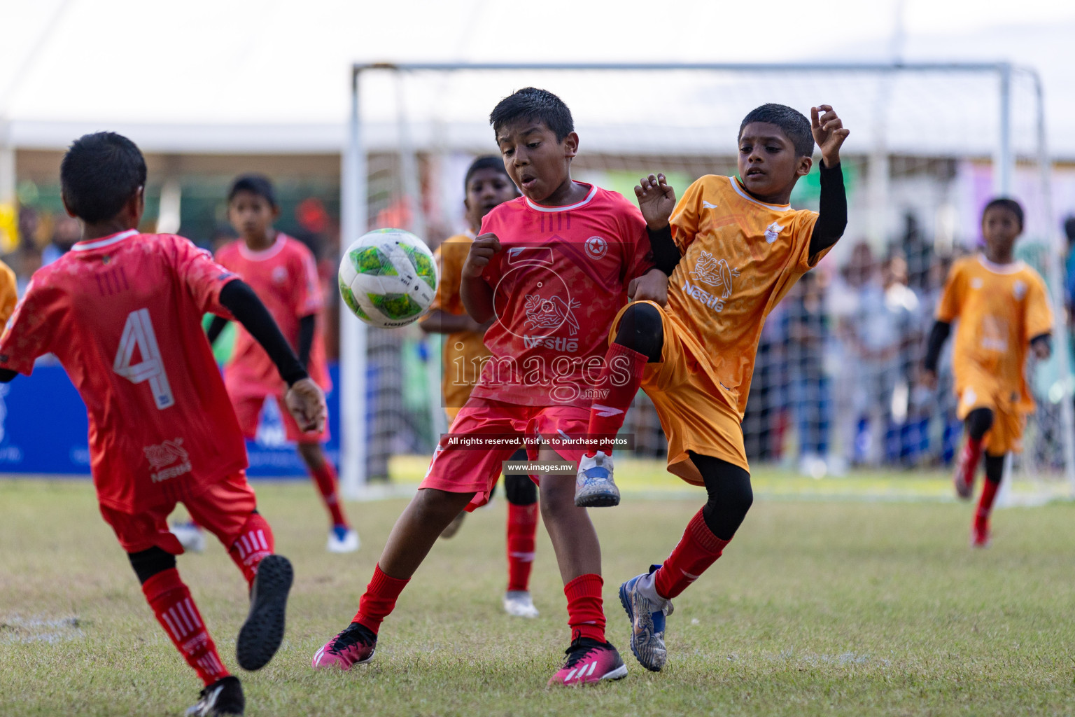 Nestle Kids Football Fiesta 2023 - Day 4
Day 4 of Nestle Kids Football Fiesta, held in Henveyru Football Stadium, Male', Maldives on Saturday, 14th October 2023 Photos: Nausham Waheed / images.mv