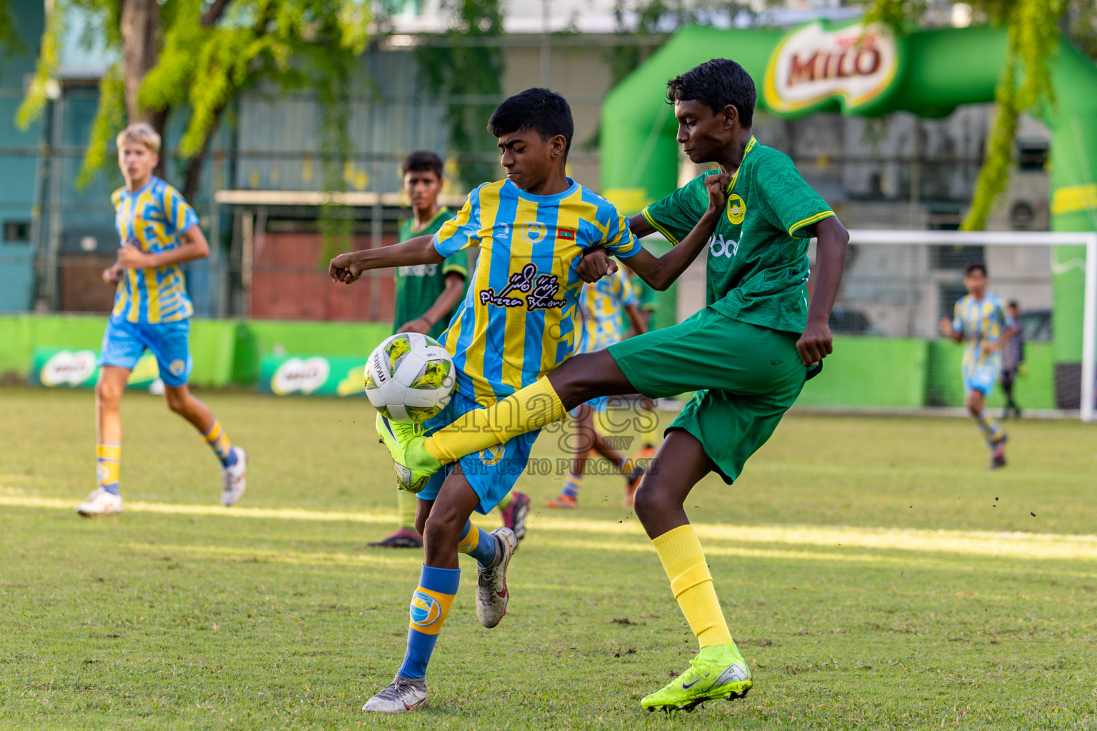 Day 4 of MILO Academy Championship 2024 (U-14) was held in Henveyru Stadium, Male', Maldives on Sunday, 3rd November 2024. 
Photos: Hassan Simah / Images.mv