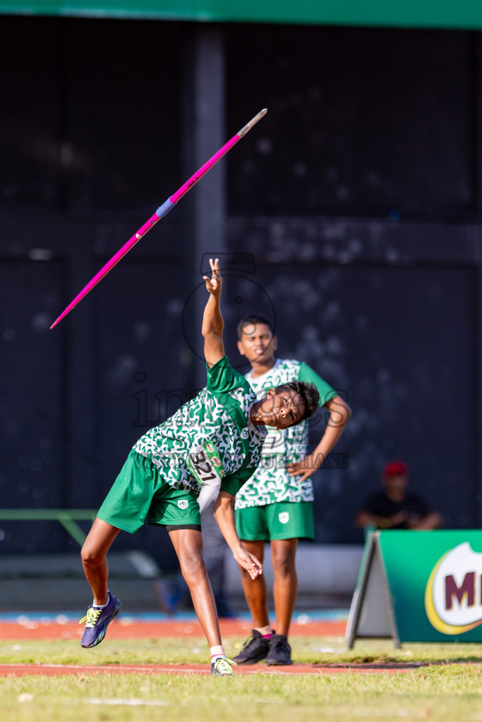 Day 3 of MILO Athletics Association Championship was held on Thursday, 7th May 2024 in Male', Maldives. Photos: Nausham Waheed