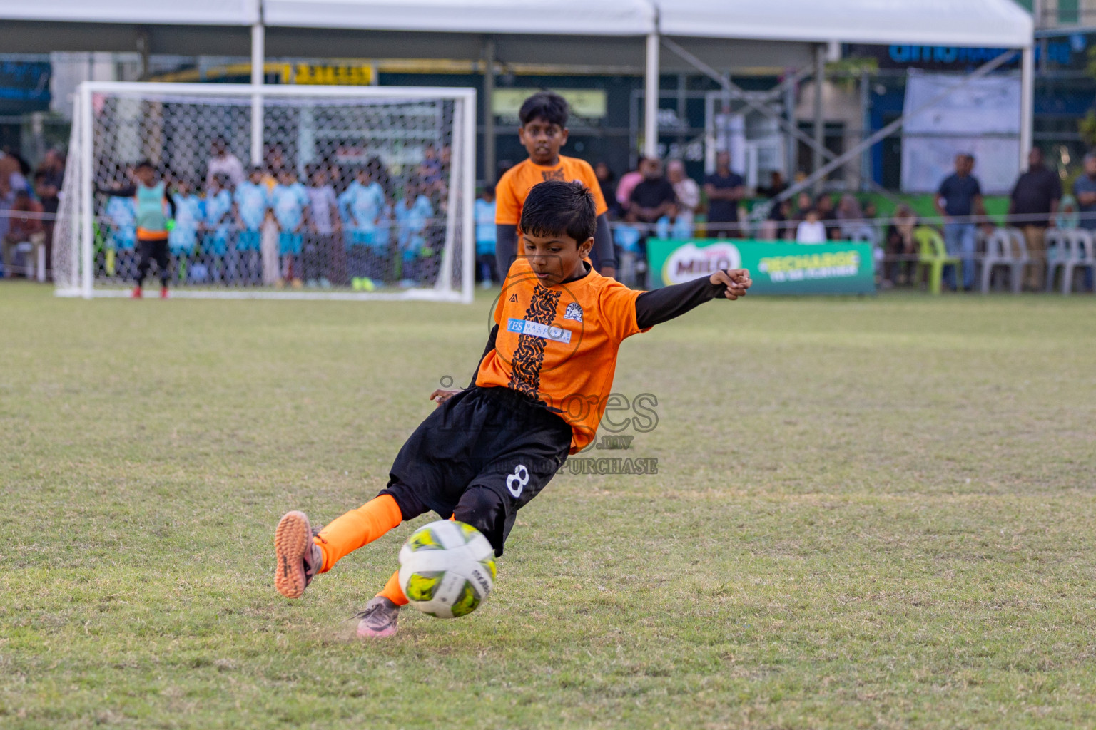 Day 2 of MILO Academy Championship 2025 was held on Friday, 14th February 2025 in Henveiru Stadium. 
Photos: Hassan Simah / Images.mv