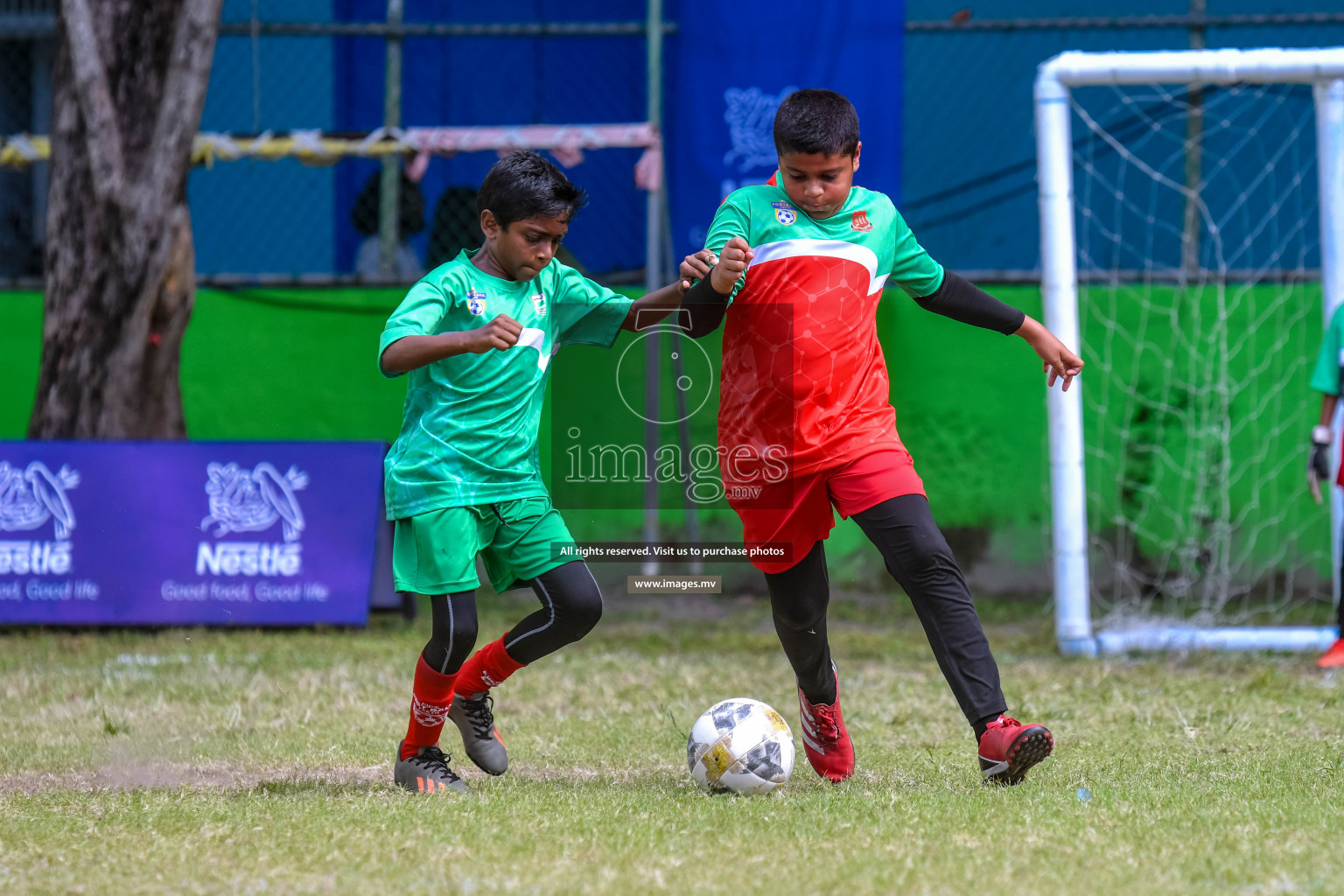 Day 3 of Milo Kids Football Fiesta 2022 was held in Male', Maldives on 21st October 2022. Photos: Nausham Waheed/ images.mv