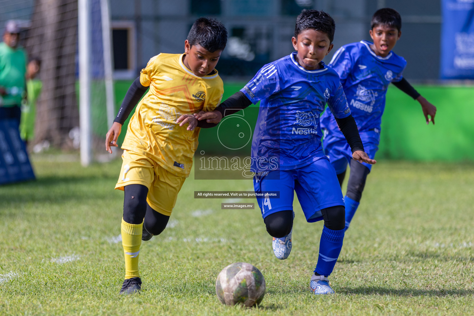 Day 4 of Nestle Kids Football Fiesta, held in Henveyru Football Stadium, Male', Maldives on Saturday, 14th October 2023
Photos: Ismail Thoriq / images.mv