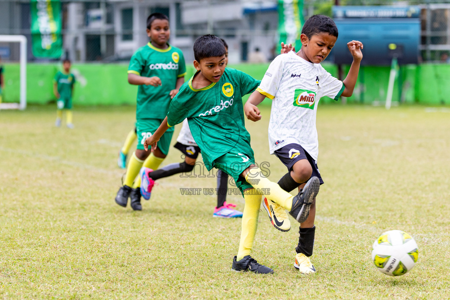 Day 1 of MILO SVAM Juniors 2025 (U-8) was held at Henveiru Stadium in Male', Maldives on Thursday, 26th June 2025. 
Photos: Hassan Simah / images.mv