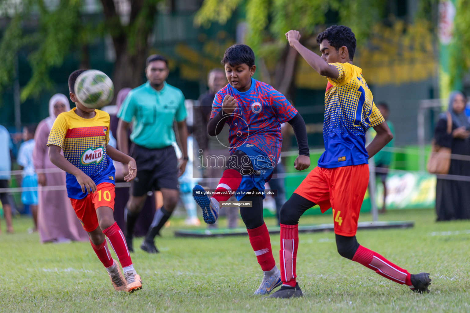 Day 2 of MILO Academy Championship 2023 (U12) was held in Henveiru Football Grounds, Male', Maldives, on Saturday, 19th August 2023. 
Photos: Suaadh Abdul Sattar & Nausham Waheedh / images.mv