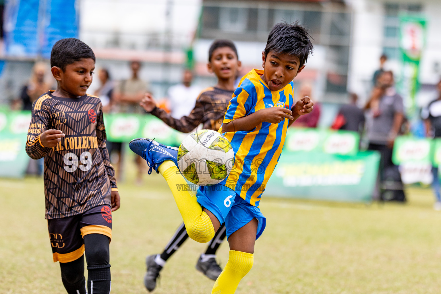 Day 1 of MILO SVAM Juniors 2025 (U-8) was held at Henveiru Stadium in Male', Maldives on Thursday, 26th June 2025. 
Photos: Hassan Simah / images.mv