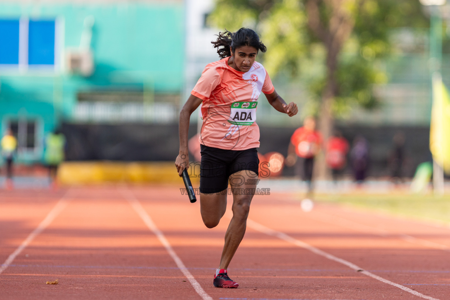 Day 3 of MILO Athletics Association Championship was held on Thursday, 7th May 2024 in Male', Maldives. Photos: Nausham Waheed