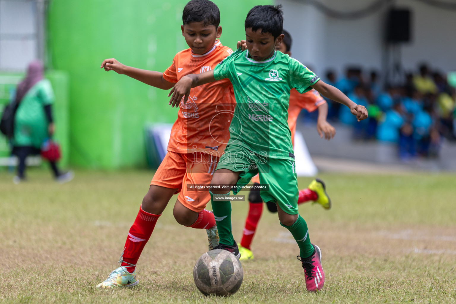 Day 4 of Nestle Kids Football Fiesta, held in Henveyru Football Stadium, Male', Maldives on Saturday, 14th October 2023
Photos: Mohamed Mahfooz Moosa, Hassan Simah / images.mv