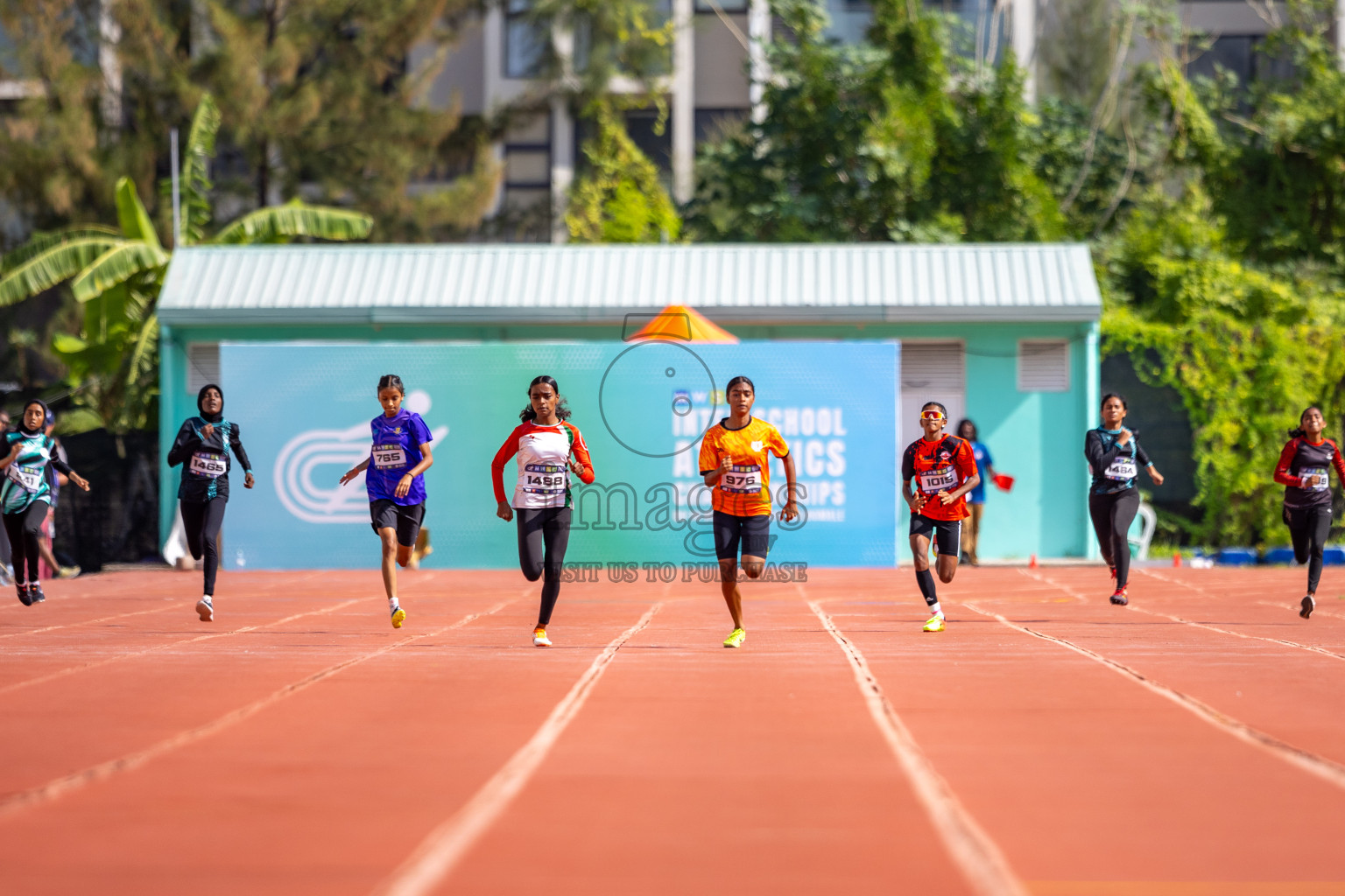 Day 4 of MWSC Interschool Athletics Championships 2024 held in Hulhumale Running Track, Hulhumale, Maldives on Tuesday, 12th November 2024. Photos by: Raaif Yoosuf / Images.mv