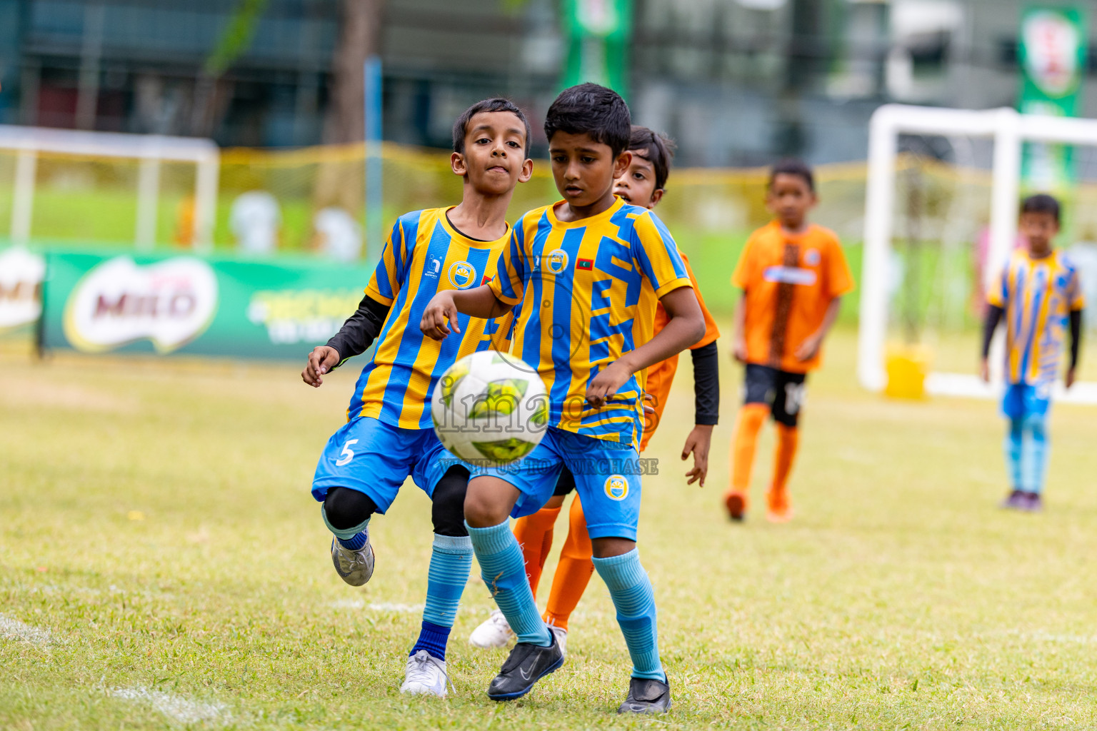 Day 1 of MILO SVAM Juniors 2025 (U-8) was held at Henveiru Stadium in Male', Maldives on Thursday, 26th June 2025. 
Photos: Hassan Simah / images.mv
