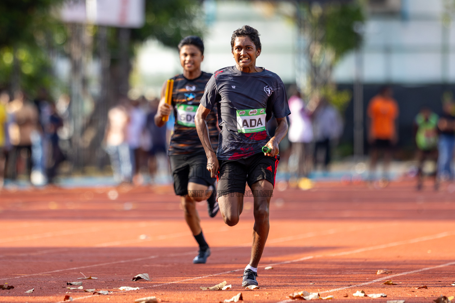 Day 2 of 12th Milo Association Championships was held in Ekuveni Track at Male', Maldives on Friday, 25th April 2025. Photos: Ismail Thoriq / images.mv