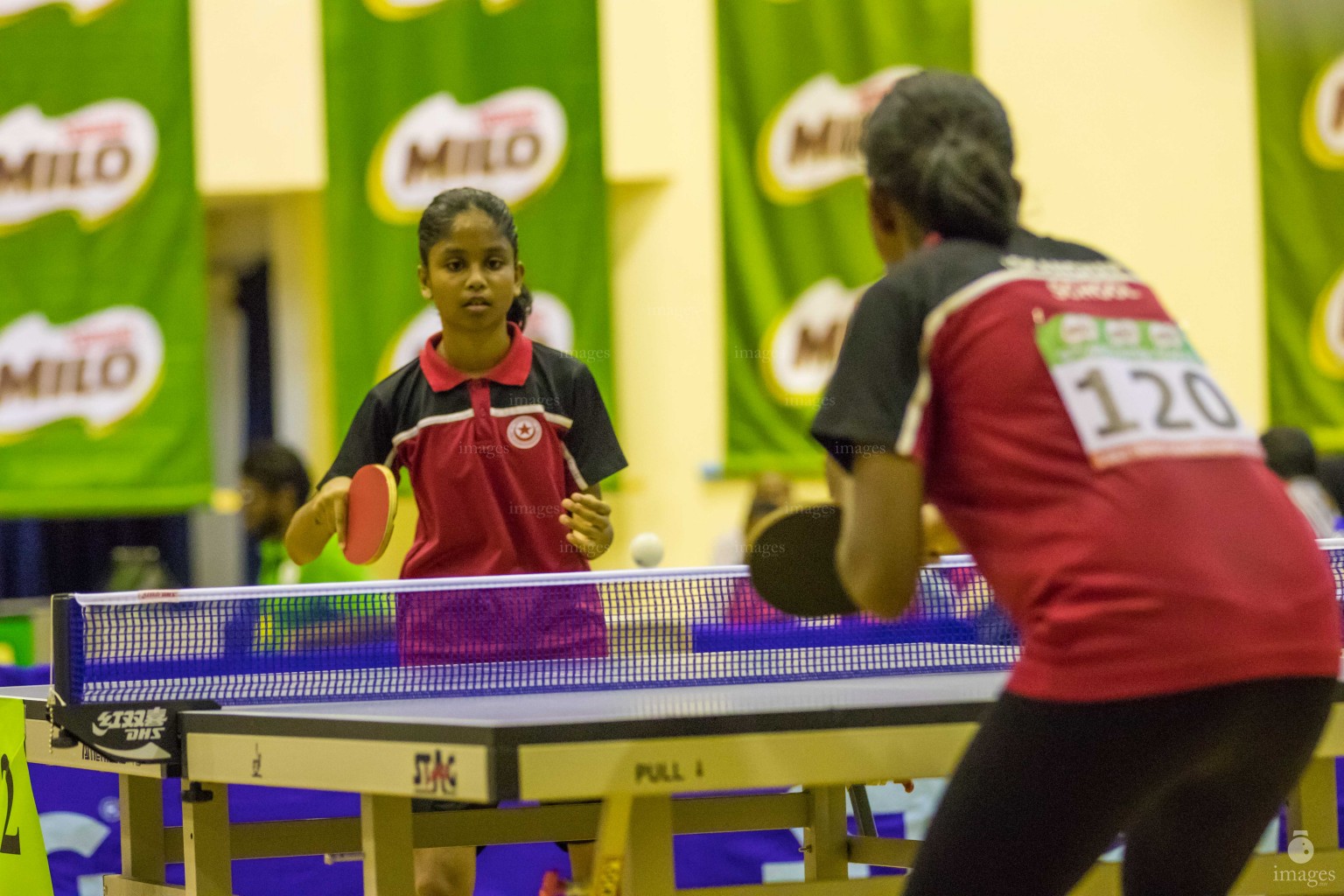 9th Milo Inter-school  Table Tennis Championship  2017 Day 1 Saturday, September. 9, 2017.( Images.mv Photo/ Abdulla Abeedh ).