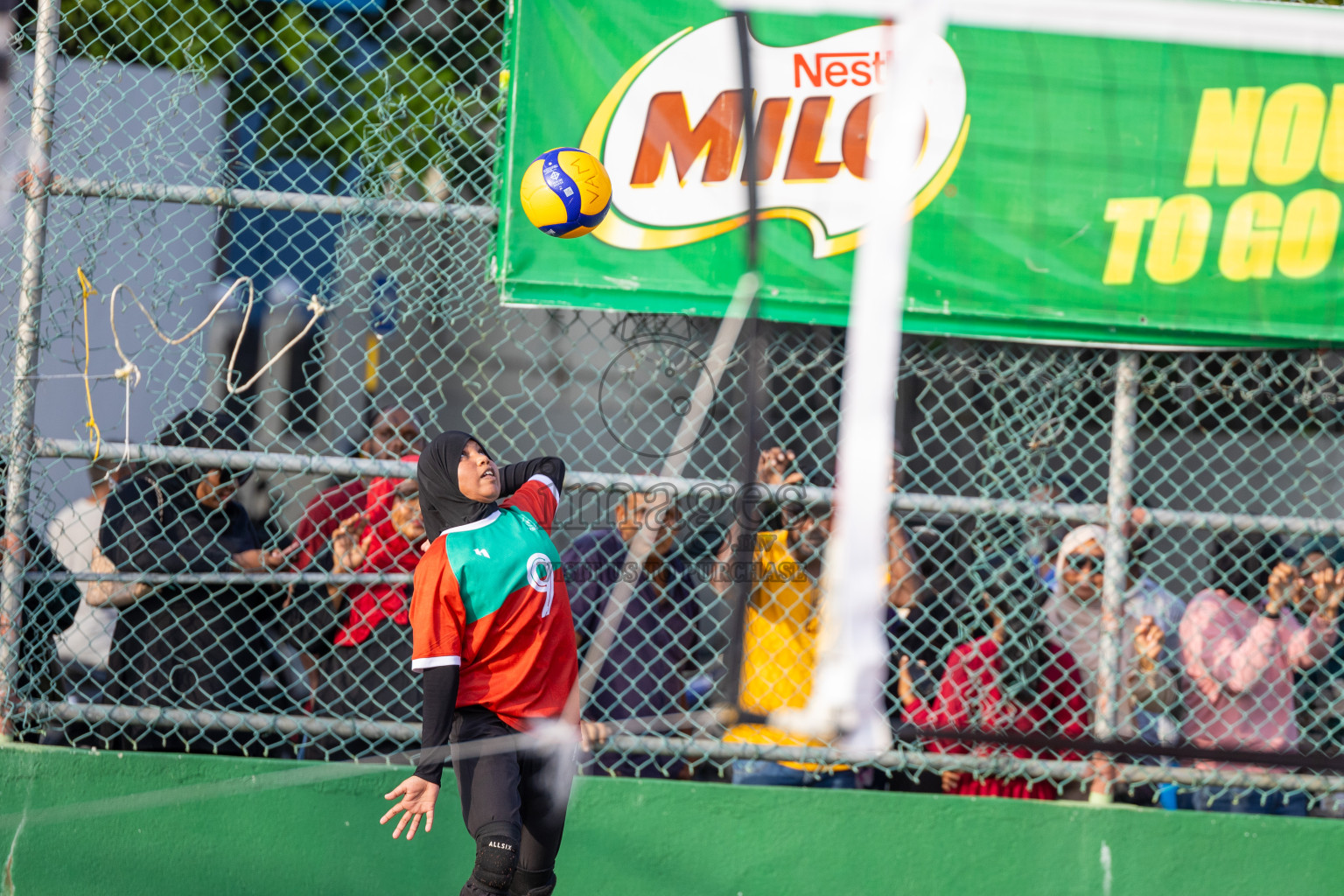 Day 6 of Interschool Volleyball Tournament 2024 was held in Ekuveni Volleyball Court at Male', Maldives on Thursday, 28th November 2024.
Photos: Ismail Thoriq / images.mv