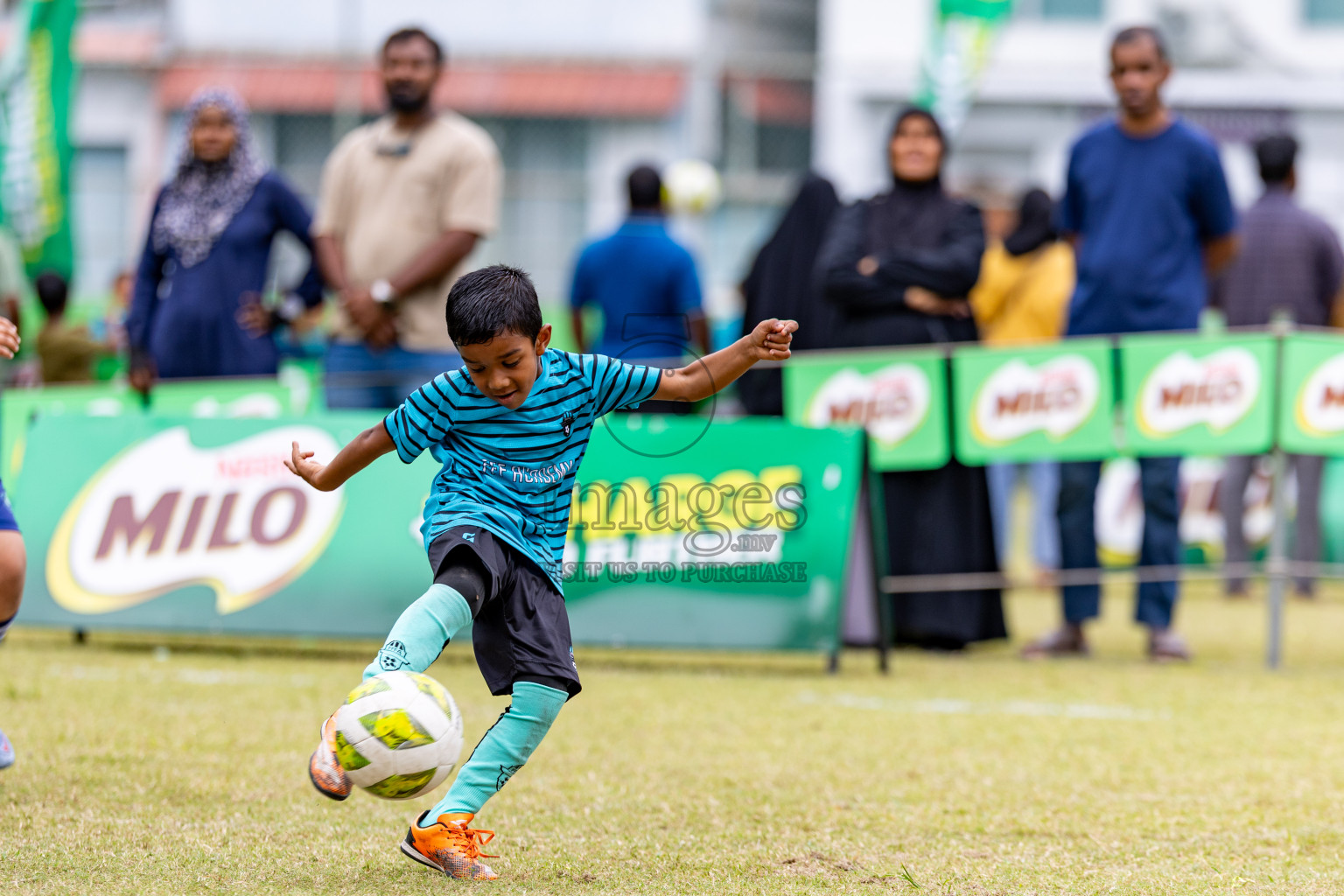 Day 1 of MILO SVAM Juniors 2025 (U-8) was held at Henveiru Stadium in Male', Maldives on Thursday, 26th June 2025. 
Photos: Hassan Simah / images.mv