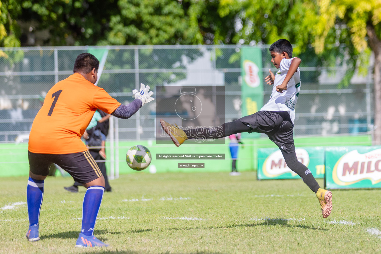 Day 1 of MILO Academy Championship 2023 (U12) was held in Henveiru Football Grounds, Male', Maldives, on Friday, 18th August 2023. 
Photos: Shuu Abdul Sattar / images.mv