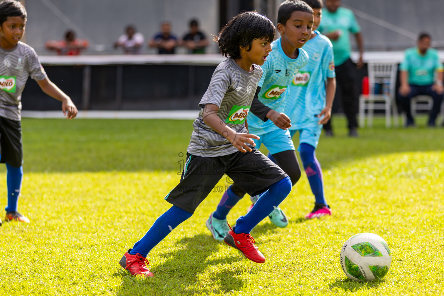 Day 2 of MILO Kids Football Fiesta was held at National Stadium in Male', Maldives on Saturday, 24th February 2024.