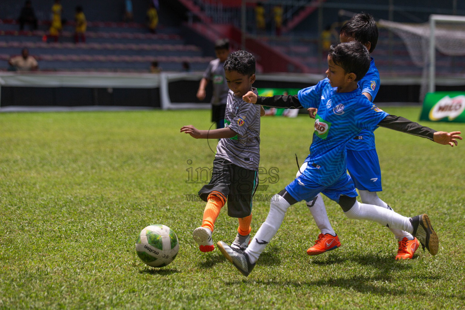 Day 2 of MILO Kids Football Fiesta was held at National Stadium in Male', Maldives on Saturday, 24th February 2024.