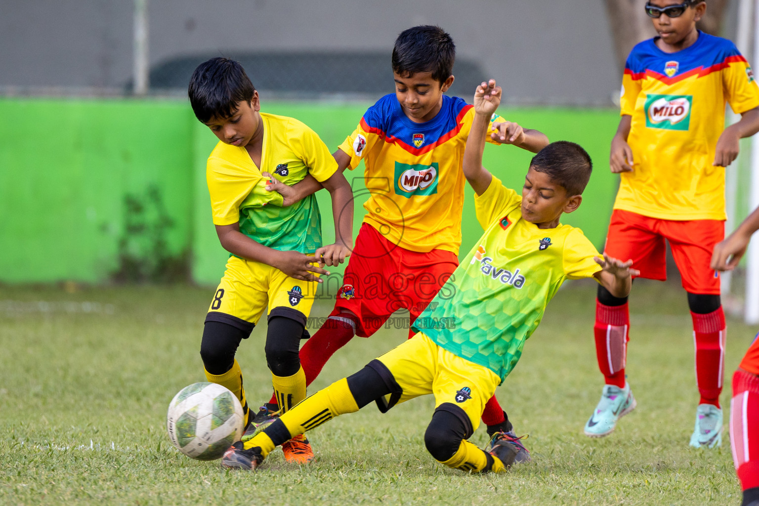 Day 2 MILO Kids 7s Weekend 2024 held in Male, Maldives on Friday, 18th October 2024. Photos: Mohamed Mahfooz Moosa / images.mv