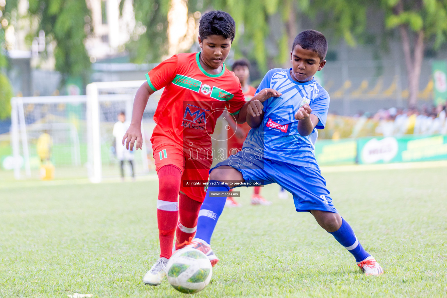 Day 1 of MILO Academy Championship 2023 (U12) was held in Henveiru Football Grounds, Male', Maldives, on Friday, 18th August 2023. 
Photos: Shuu Abdul Sattar / images.mv