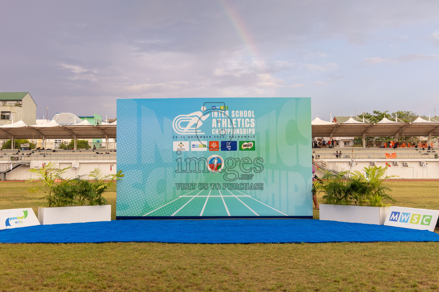 Day 6 of MWSC Interschool Athletics Championships 2024 held in Hulhumale Running Track, Hulhumale, Maldives on Thursday, 14th November 2024. Photos by: Ismail Thoriq / Images.mv