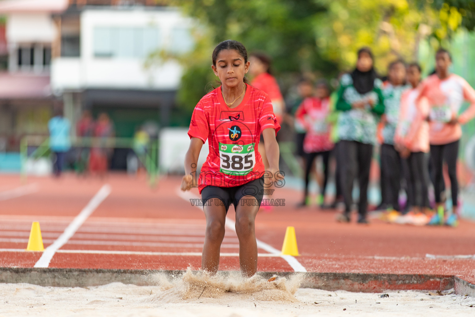 Day 4 of MILO Athletics Association Championship was held on Friday, 8th March 2024 in Male', Maldives. Photos: Hasna Hussain