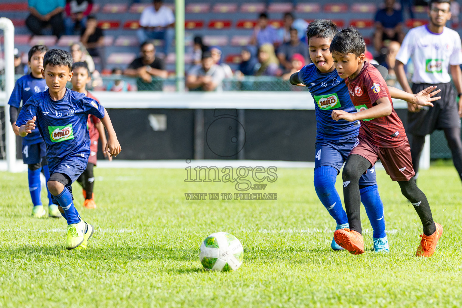 Day 1 of MILO Kids Football Fiesta was held at National Stadium in Male', Maldives on Friday, 23rd February 2024. 
Photos: Hassan Simah / images.mv