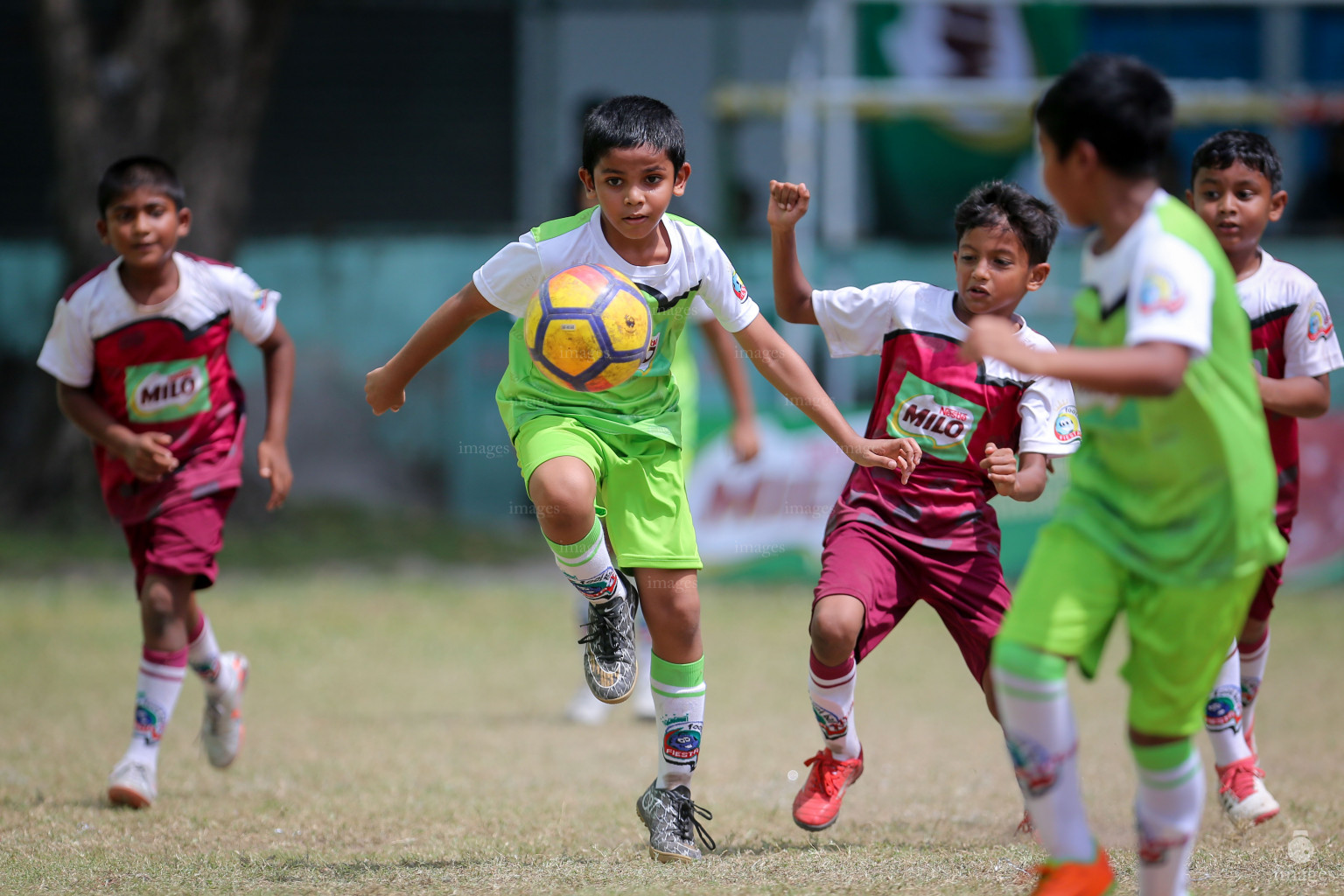 Day 4 of MILO Kids Football Fiesta in Henveiru Grounds in Male', Maldives, Saturday, February 23rd 2019 (Images.mv Photo/Ismail Thoriq)