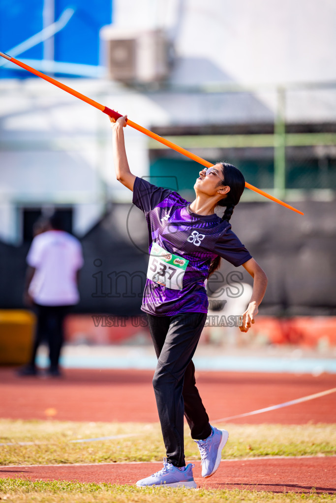 Day 3 of Inter-school Athletics Championship 2025 held in Ekuveni Synthetic Track, Male', Maldives on Wednesday, 08th October 2025. Photos by: Nausham Waheed / Images.mv