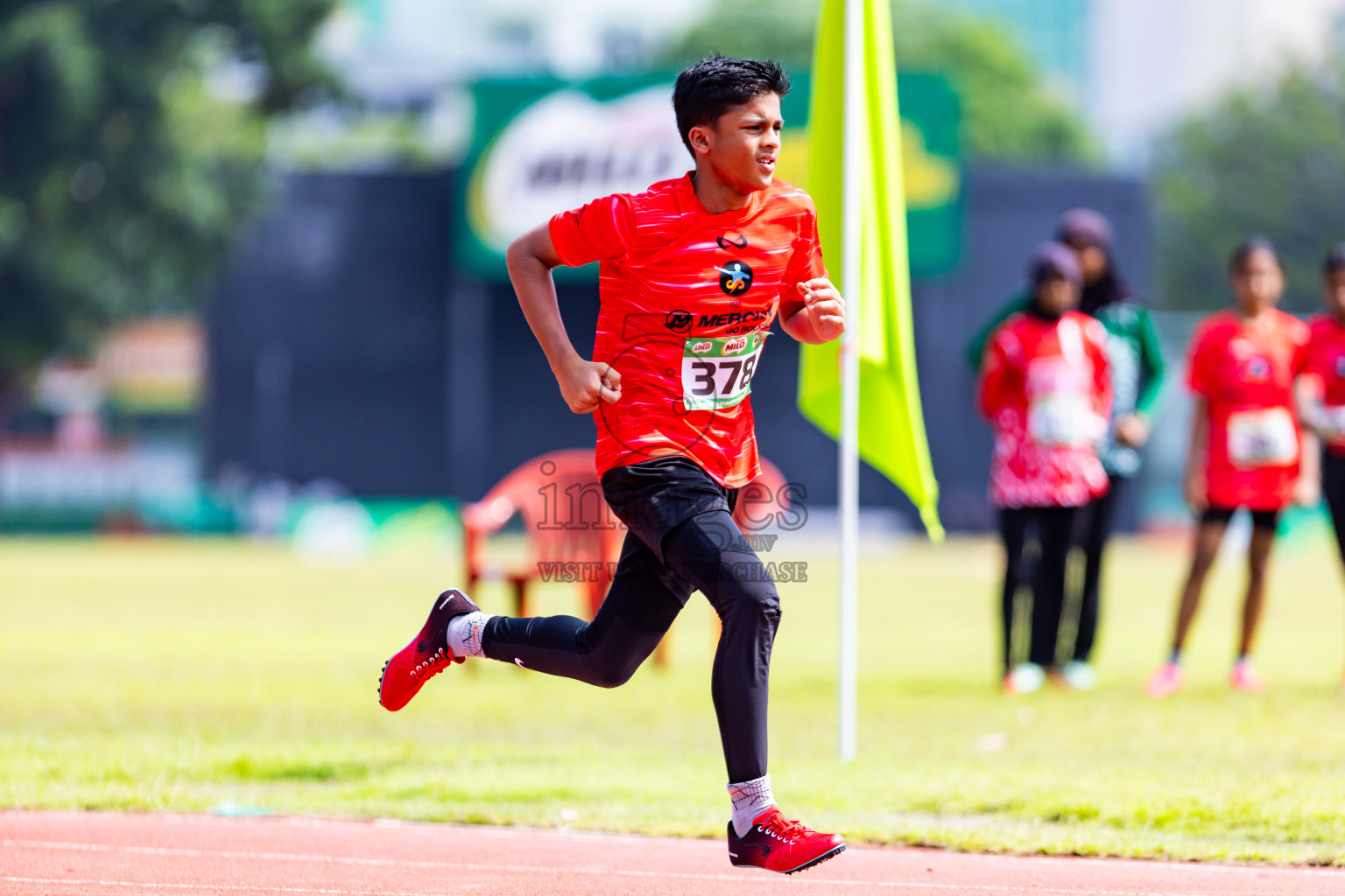 Day 2 of MILO Athletics Association Championship was held on Wednesday, 6th May 2024 in Male', Maldives. Photos: Nausham Waheed