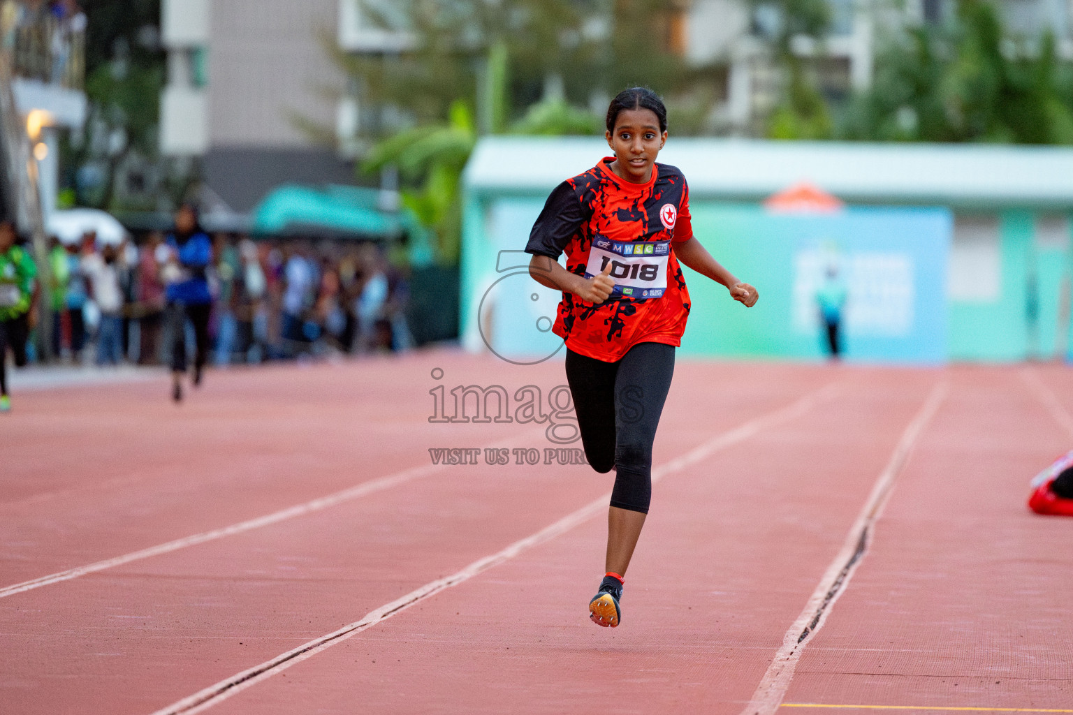 Day 2 of MWSC Interschool Athletics Championships 2024 held in Hulhumale Running Track, Hulhumale, Maldives on Sunday, 10th November 2024. 
Photos by: Hassan Simah / Images.mv