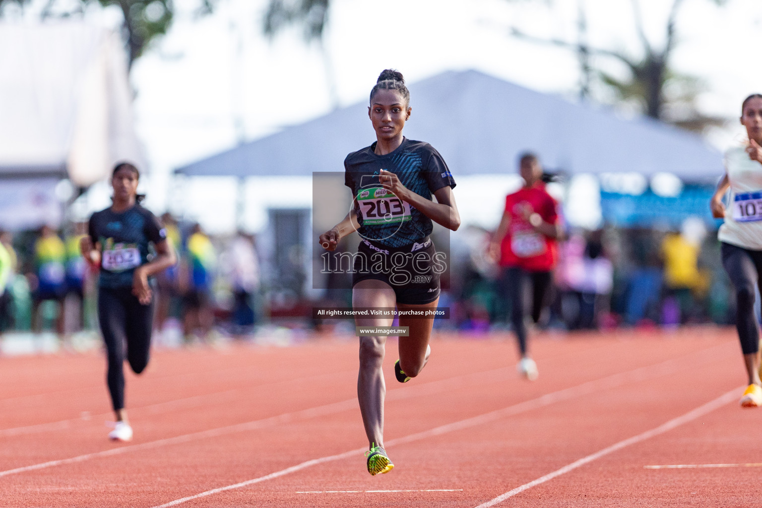 Day 3 of National Athletics Championship 2023 was held in Ekuveni Track at Male', Maldives on Saturday, 25th November 2023. Photos: Nausham Waheed / images.mv