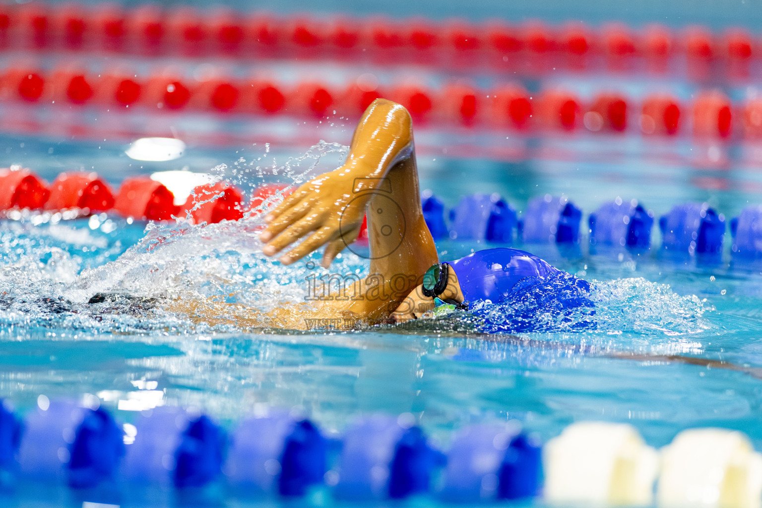 Day 2 of BML 6th National Kids Swimming Kids Festival 2025 held in Hulhumale', Maldives on Tuesday, 4th November 2024. Photos: Hassan Simah / images.mv