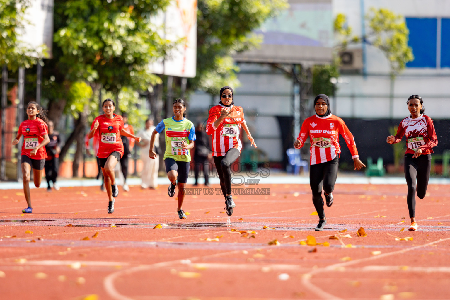 Day 2 of 12th Milo Association Championships was held in Ekuveni Track at Male', Maldives on Friday, 25th April 2025. 
Photos: Hassan Simah / images.mv