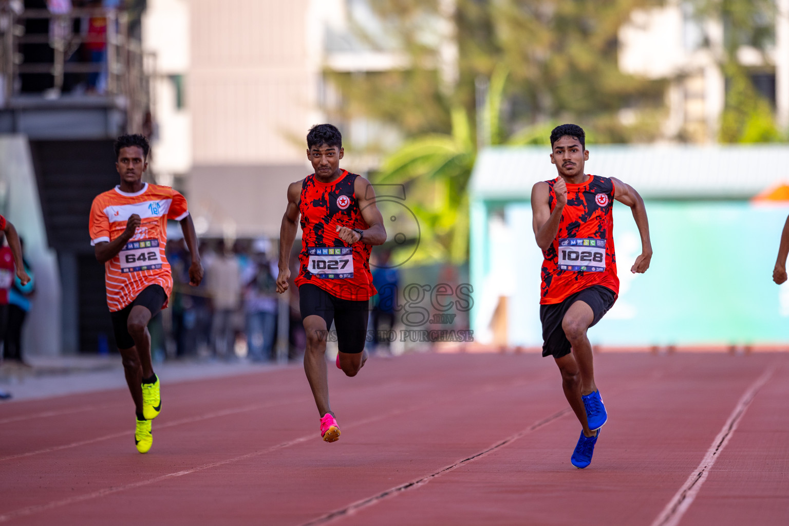 MWSC Interschool Athletics Championships 2024 - Day 3
Day 3 of MWSC Interschool Athletics Championships 2024 held in Hulhumale Running Track, Hulhumale, Maldives on Monday, 11th November 2024. Photos by: Ismail Thoriq / Images.mv