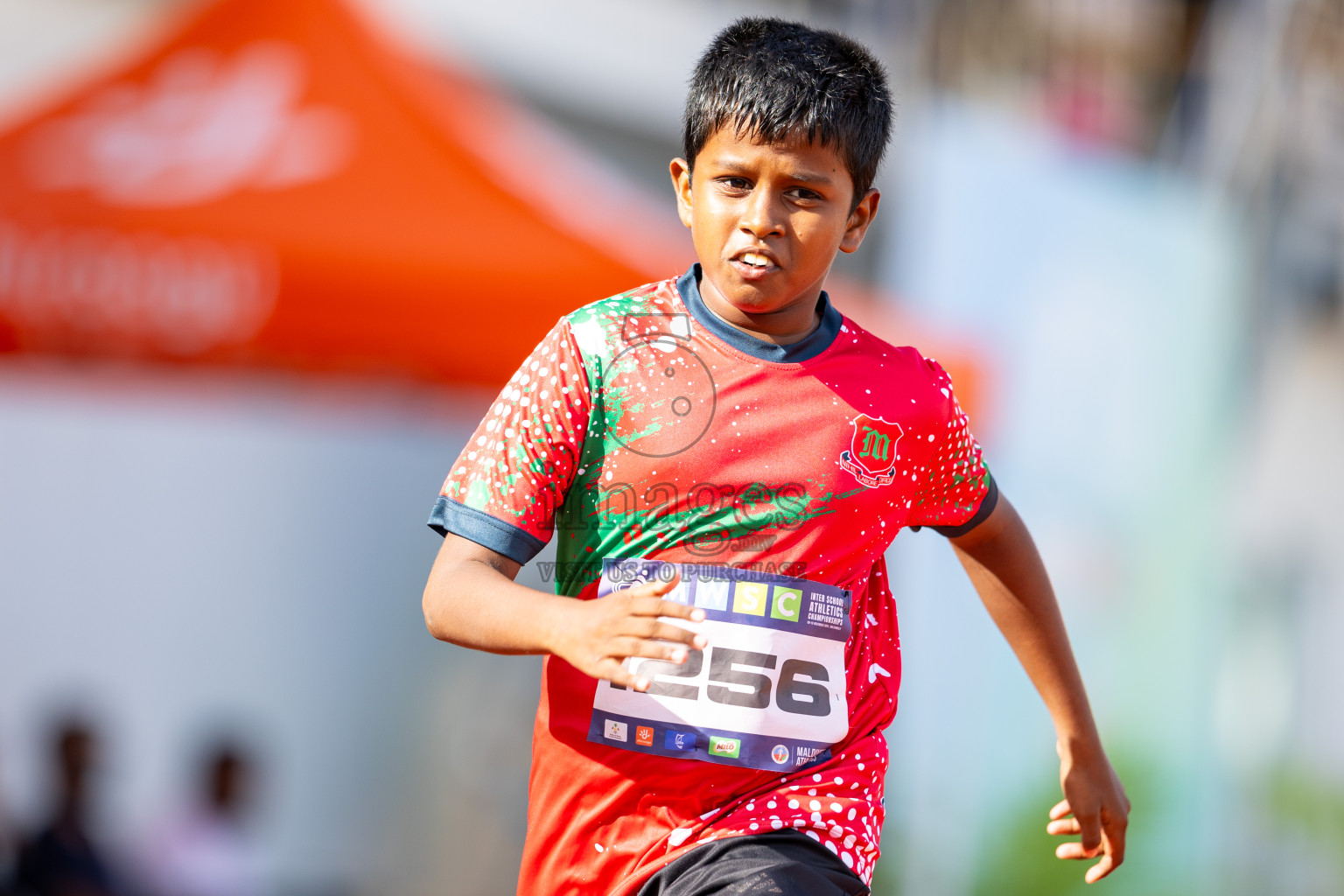 Day 2 of MWSC Interschool Athletics Championships 2024 held in Hulhumale Running Track, Hulhumale, Maldives on Sunday, 10th November 2024. Photos by: Ismail Thoriq / Images.mv