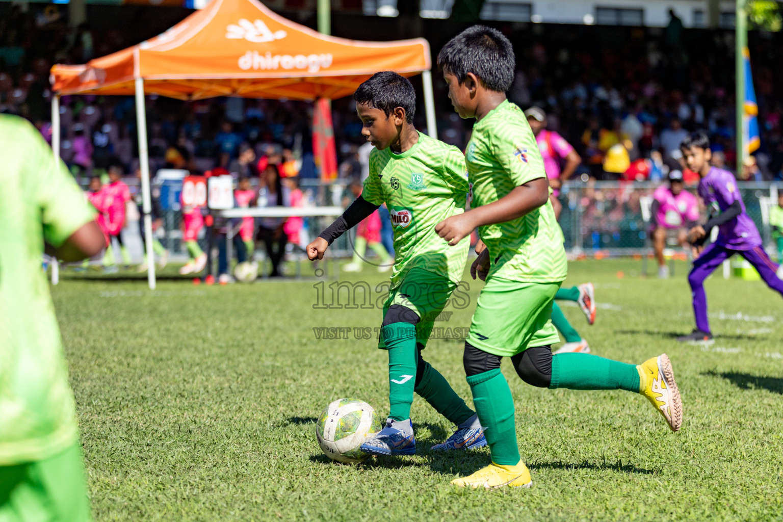 Day 1 of MILO Kids Football Fiesta was held at National Stadium in Male', Maldives on Friday, 23rd February 2024. 
Photos: Hassan Simah / images.mv