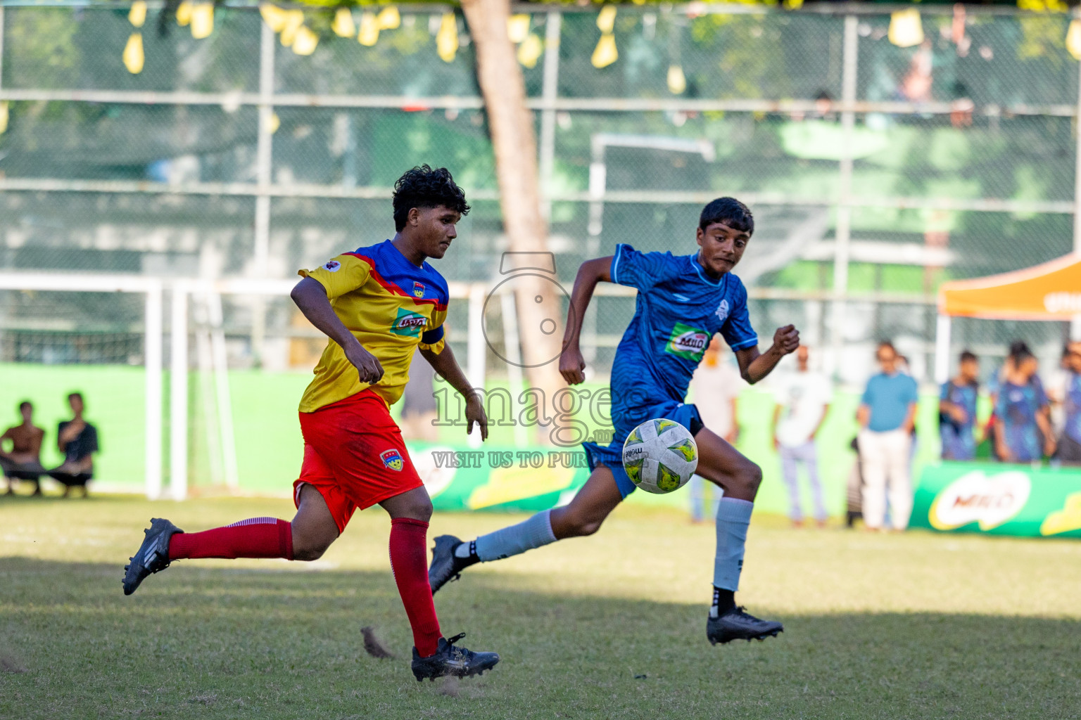 Day 3 of MILO Academy Championship 2024 (U-14) was held in Henveyru Stadium, Male', Maldives on Saturday, 2nd November 2024.
Photos: Ismail Thoriq, Images.mv