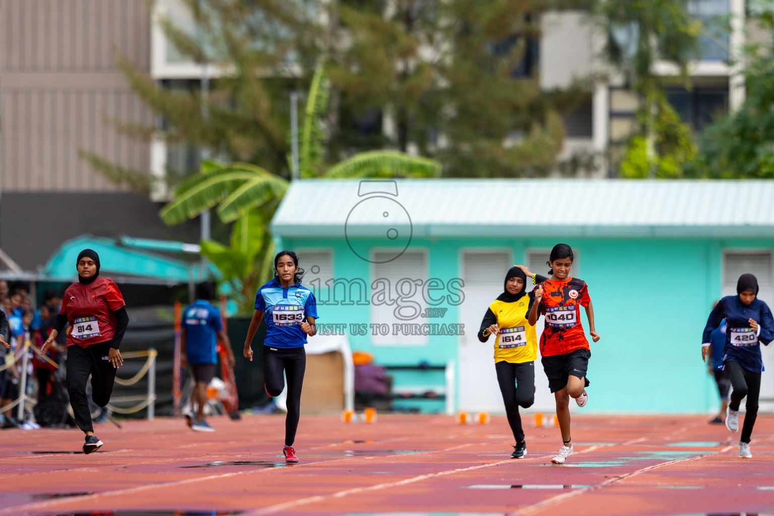 Day 1 of MWSC Interschool Athletics Championships 2024 held in Hulhumale Running Track, Hulhumale, Maldives on Saturday, 9th November 2024. 
Photos by: Ismail Thoriq / images.mv