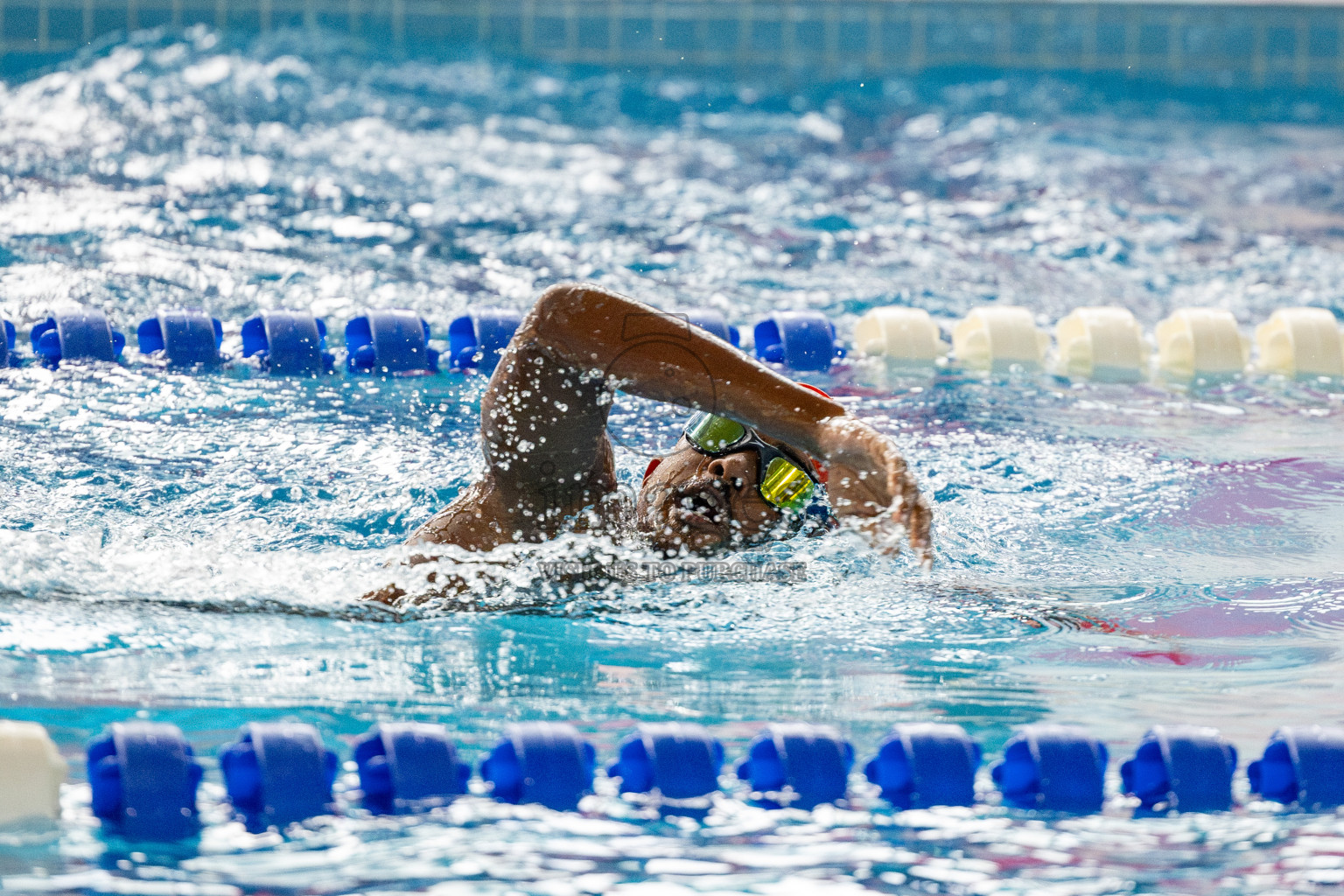 Day 4 of National Swimming Competition 2024 held in Hulhumale', Maldives on Monday, 16th December 2024. 
Photos: Hassan Simah / images.mv