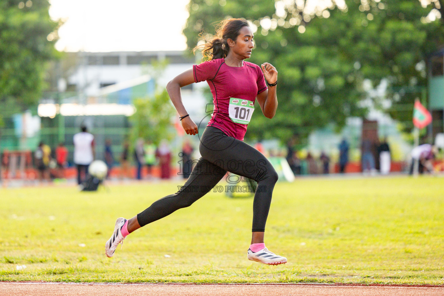 Day 2 of 12th Milo Association Championships was held in Ekuveni Track at Male', Maldives on Friday, 25th April 2025. Photos: Hassan Simah / images.mv