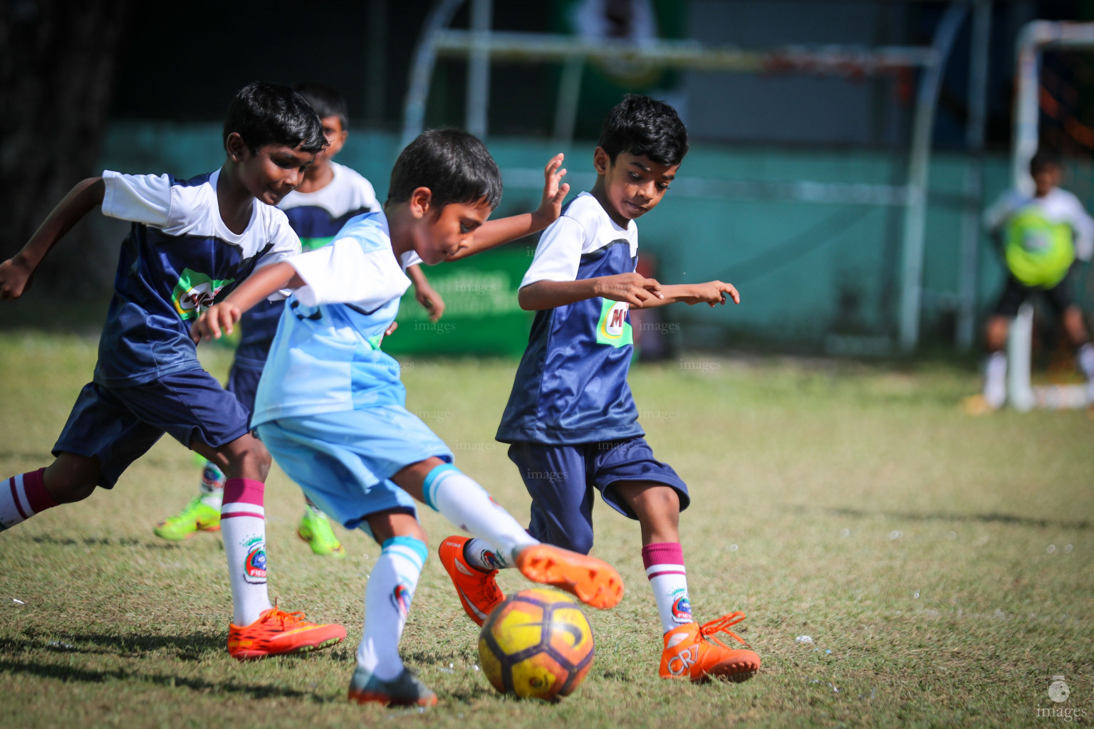 Day 3 of MILO Kids Football Fiesta in Henveiru Grounds in Male', Maldives, Friday, February 21st 2019 (Images.mv Photo/ Ismail Thoriq)