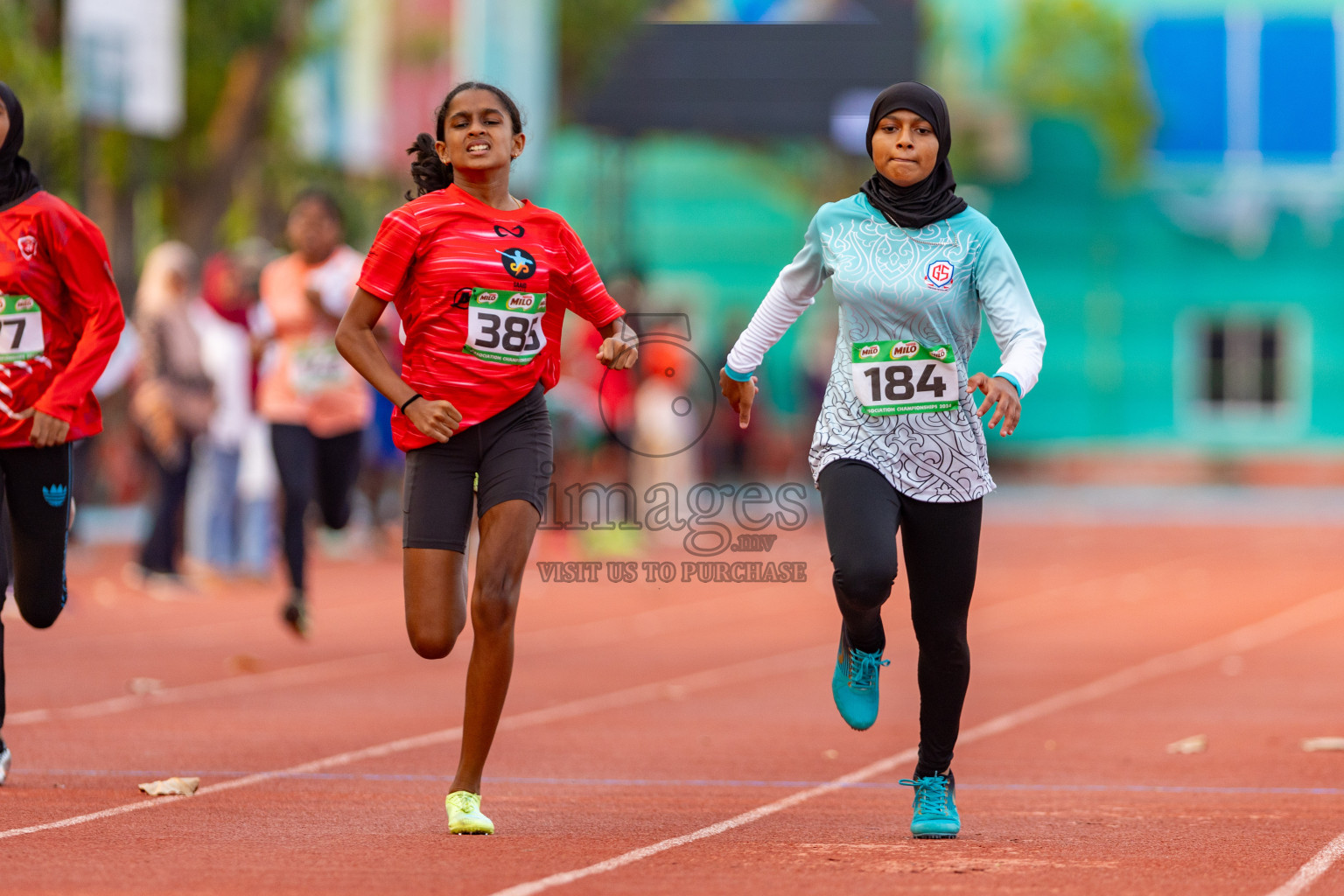 Day 2 of MILO Athletics Association Championship was held on Wednesday, 6th May 2024 in Male', Maldives. Photos: Nausham Waheed