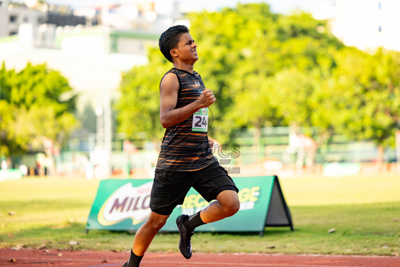 Day 2 of 12th Milo Association Championships was held in Ekuveni Track at Male', Maldives on Friday, 25th April 2025. Photos: Hassan Simah / images.mv