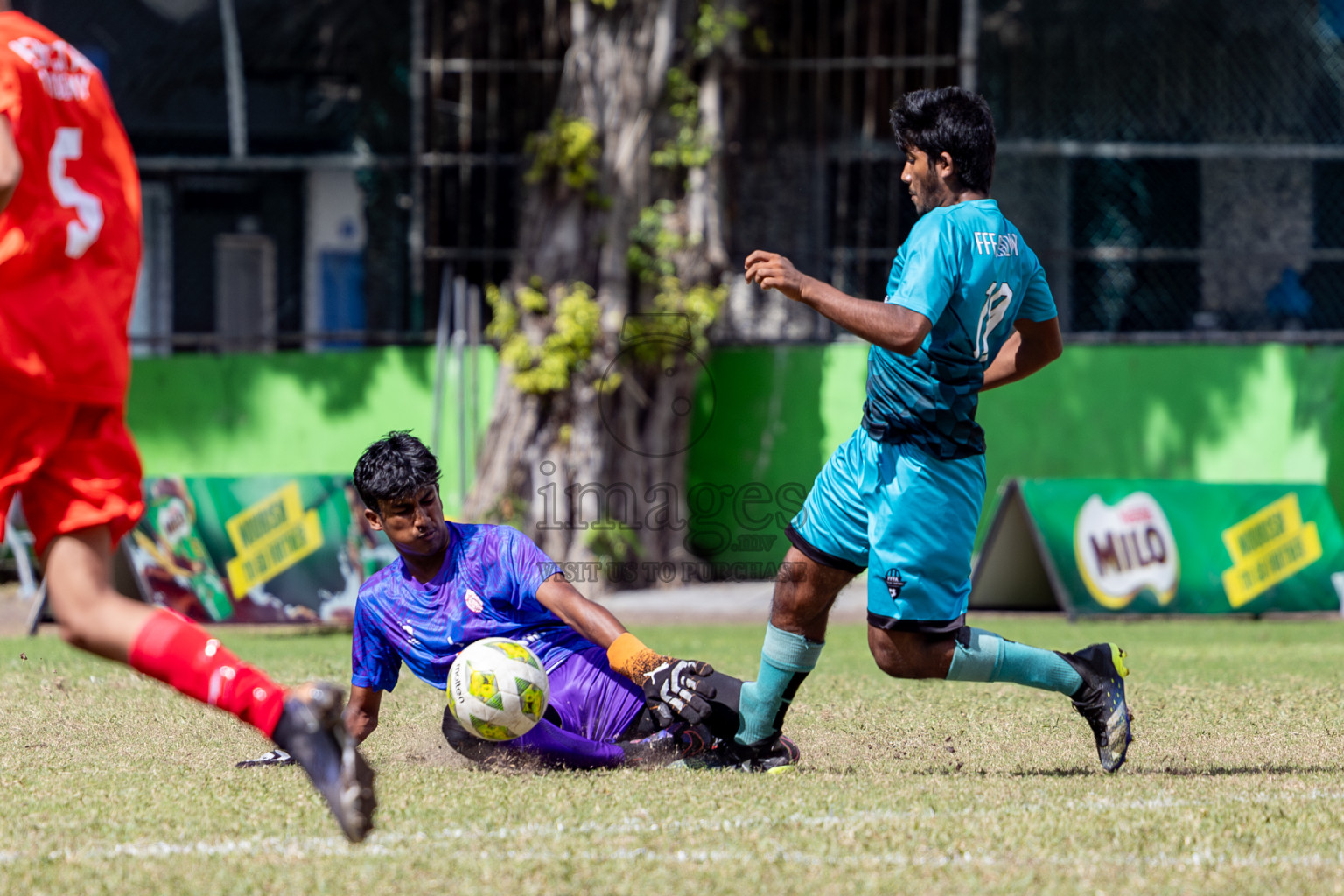 Day 4 of MILO Academy Championship 2024 (U-14) was held in Henveyru Stadium, Male', Maldives on Sunday, 3rd November 2024. 
Photos: Hassan Simah / Images.mv