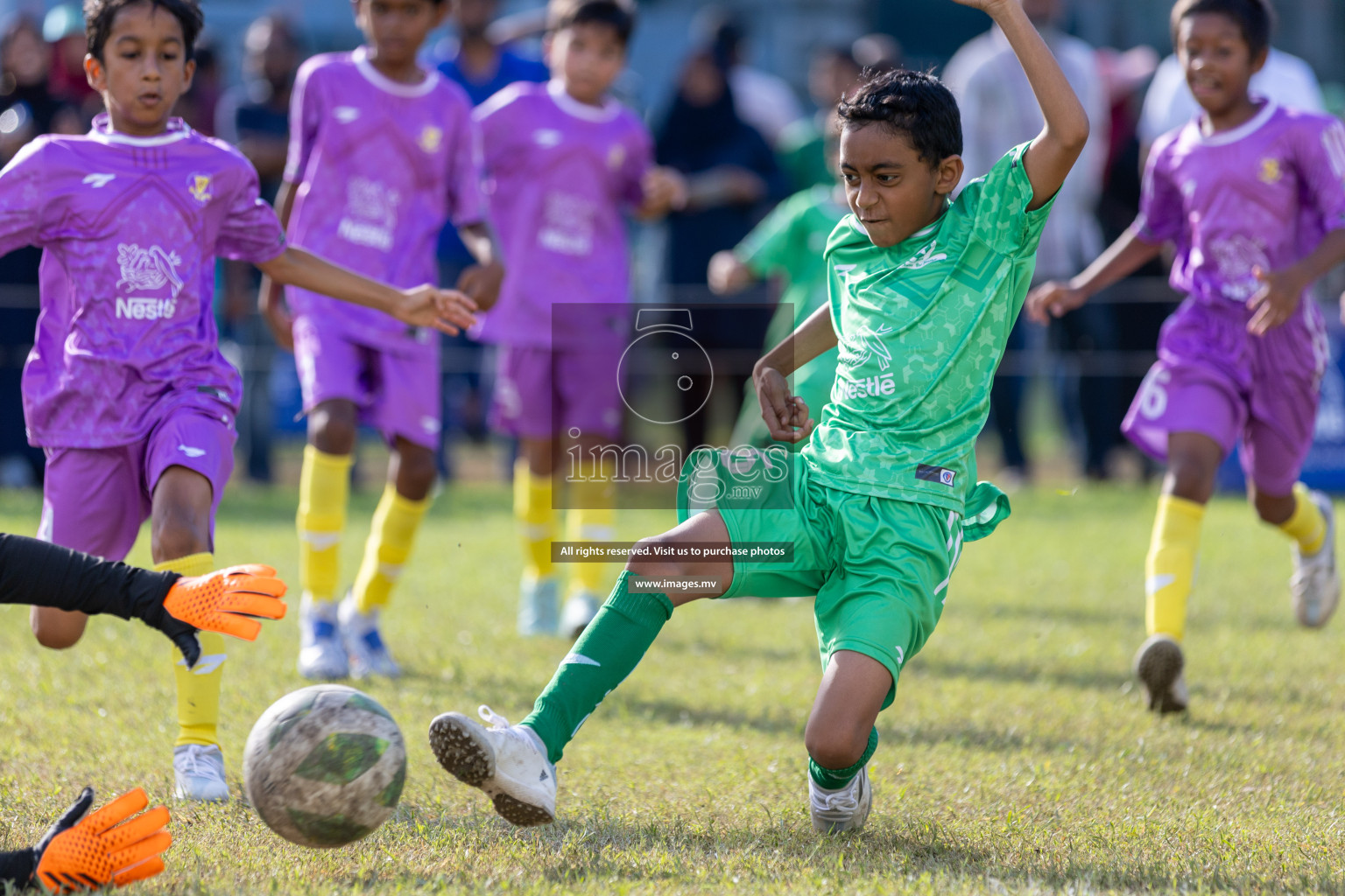 Day 4 of Nestle Kids Football Fiesta, held in Henveyru Football Stadium, Male', Maldives on Saturday, 14th October 2023
Photos: Mohamed Mahfooz Moosa, Hassan Simah / images.mv