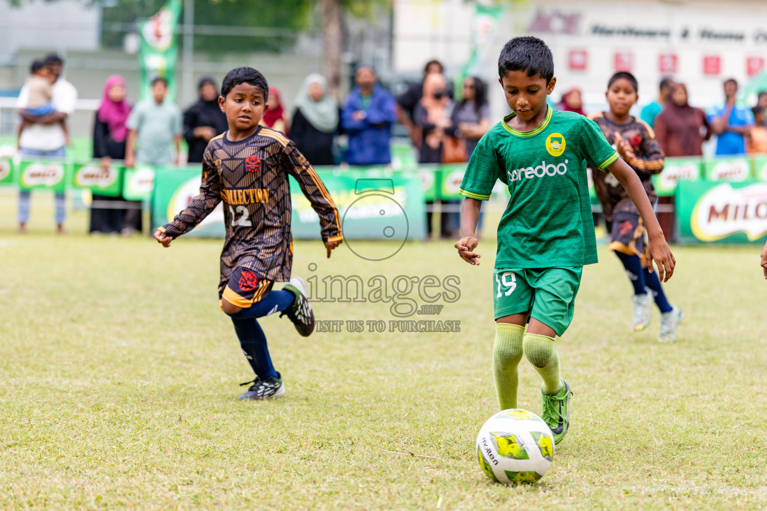 Day 1 of MILO SVAM Juniors 2025 (U-8) was held at Henveiru Stadium in Male', Maldives on Thursday, 26th June 2025. 
Photos: Hassan Simah / images.mv