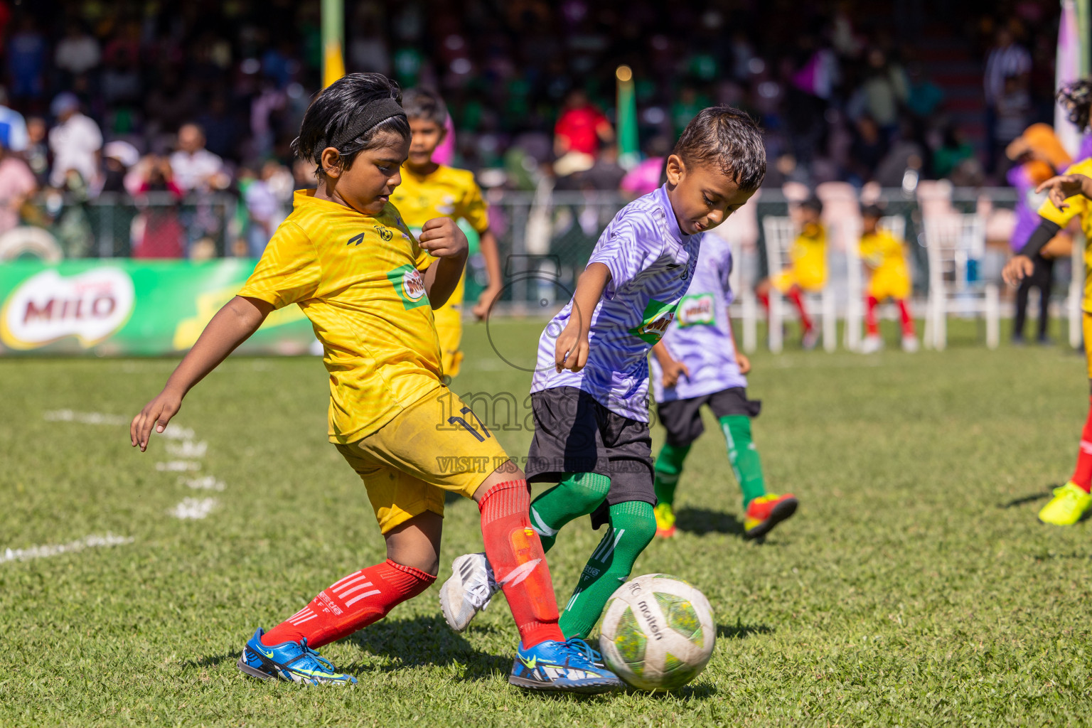 Day 1 of MILO Kids Football Fiesta was held at National Stadium in Male', Maldives on Friday, 23rd February 2024. 
Photos: Ismail Thoriq / images.mv